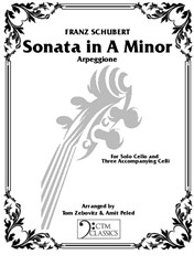 Schubert's Arpeggione Sonata in Minor